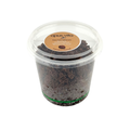 Coco Coir Substrate - For Jumping Spider Enclosures - 200g - Ready to Use