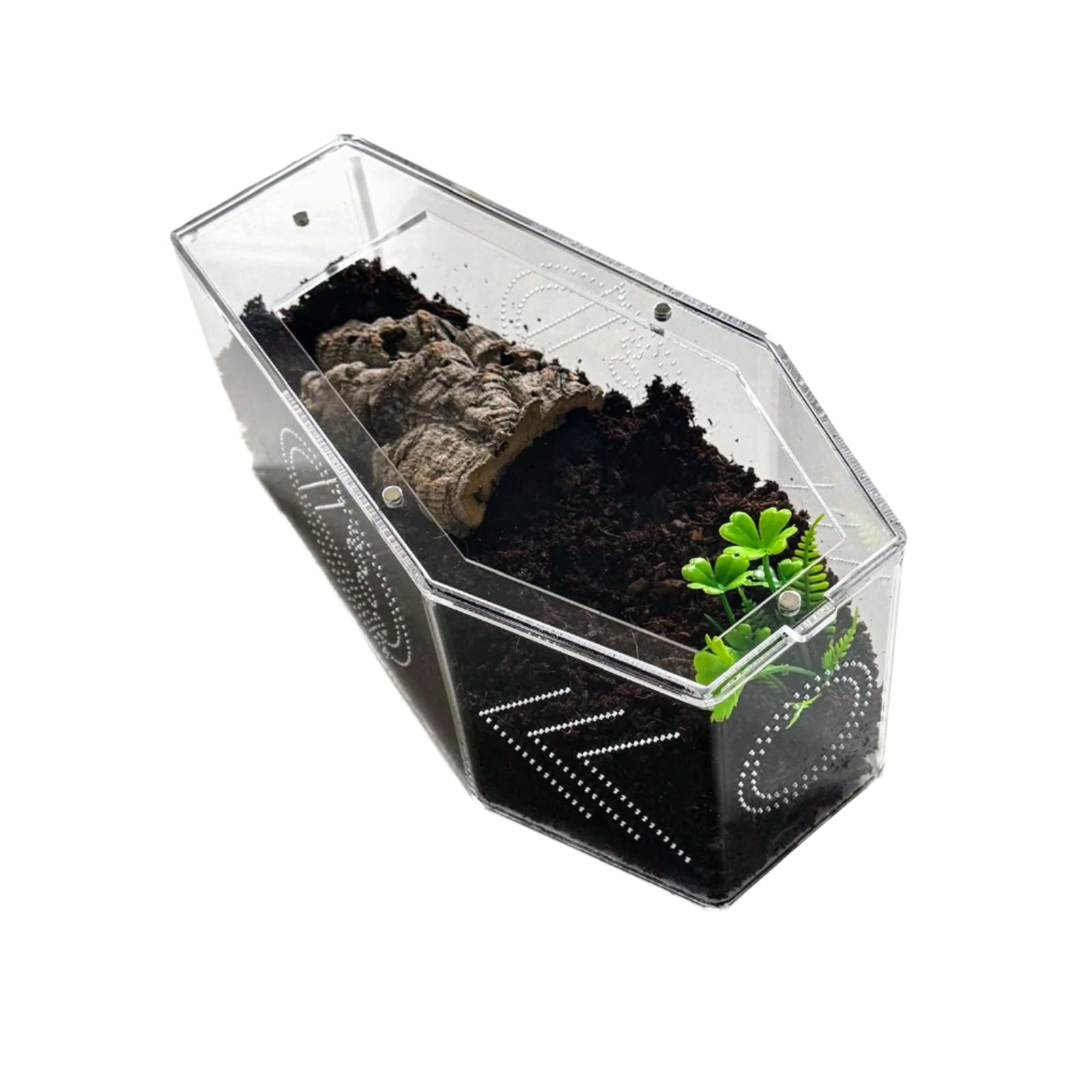 coffin with coco coir