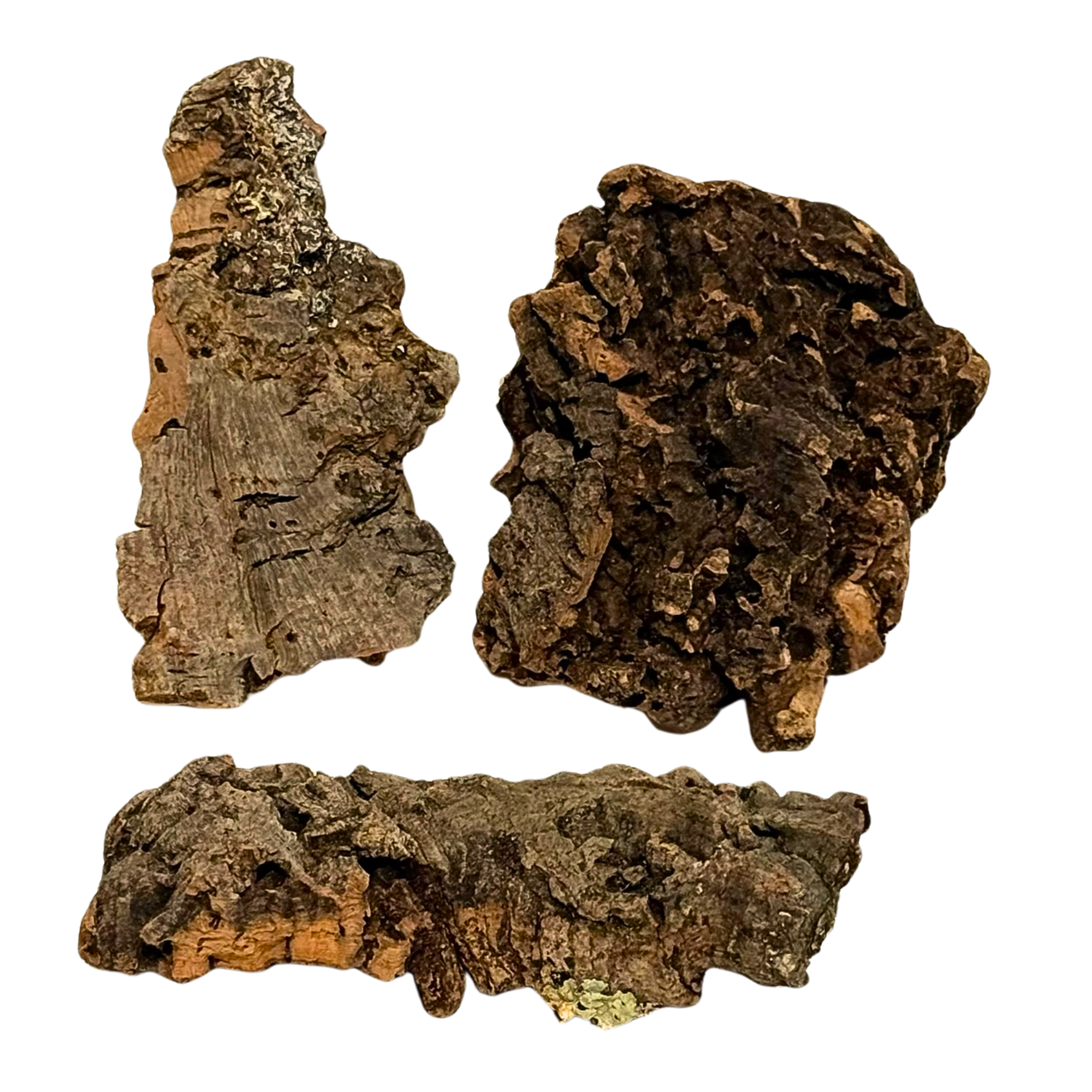 Natural Cork Bark - 3 sizes available