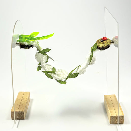 Crochet Rope Bridges with Twine - Bug Decor - Jumping Spider Setup - Opus Vita