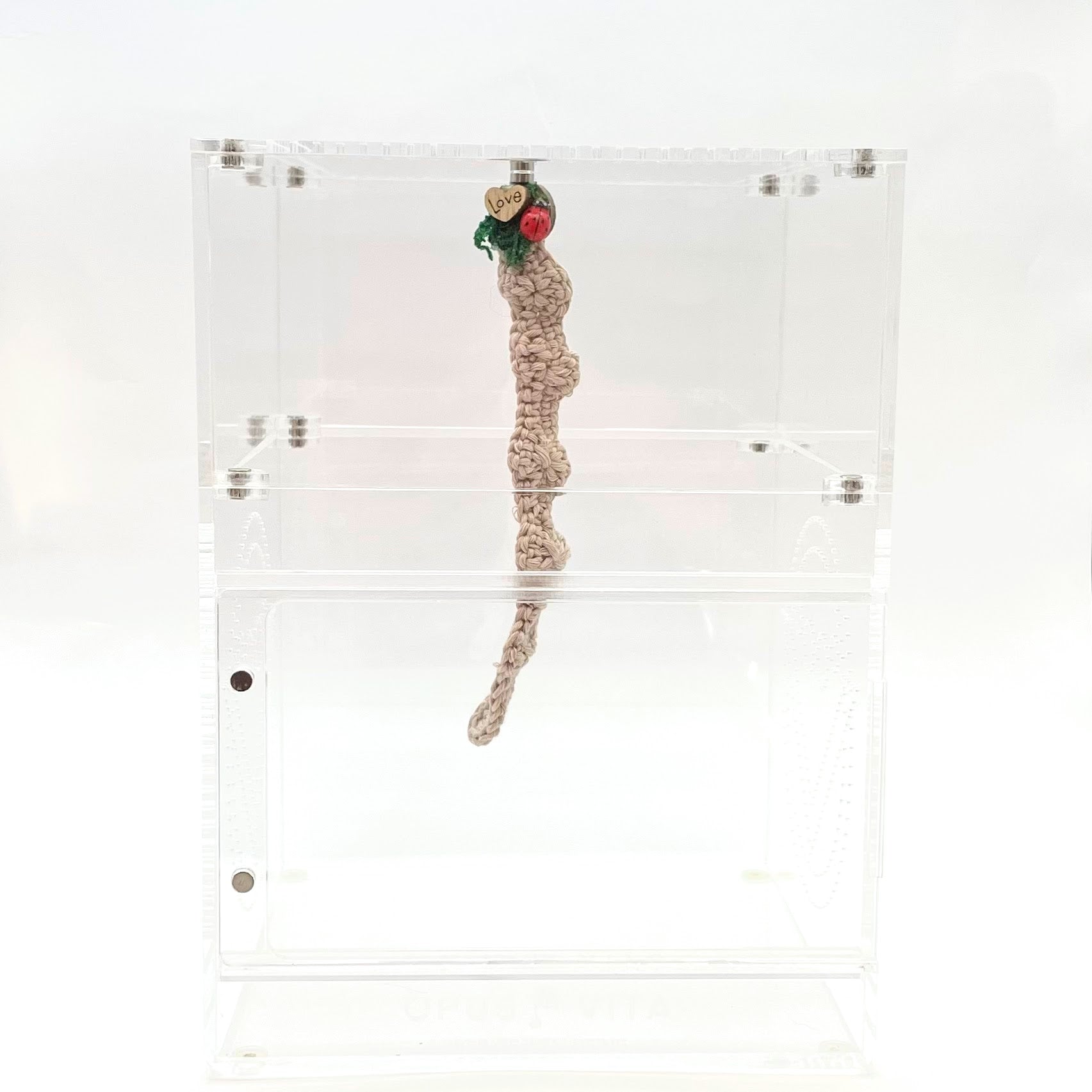 Crocheted Hanging Helter Skelter - Natural Love Bug - Jumping Spider Setup - Opus Vita