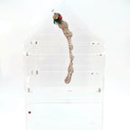 Crocheted Hanging Helter Skelter - Natural Love Bug - Jumping Spider Setup - Opus Vita