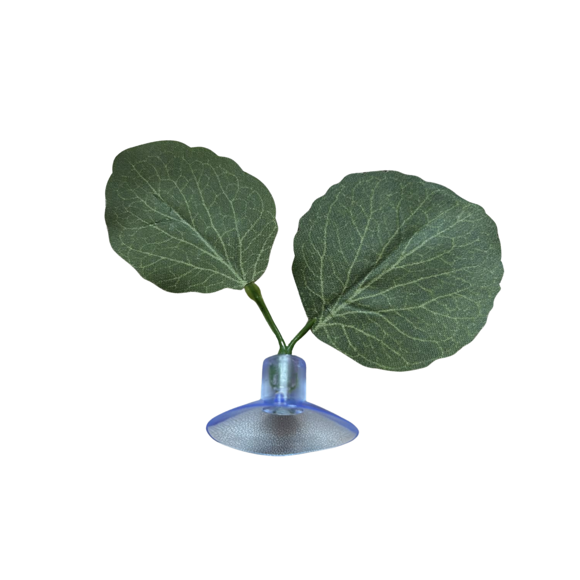 Suction Cup Decorative Leaves – Enclosure Foliage