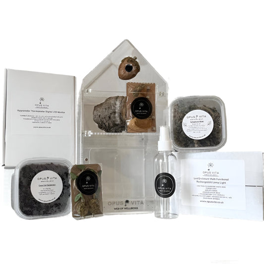 Jumping Spider Setup - Domus Bundle - Premium Enclosure Setup