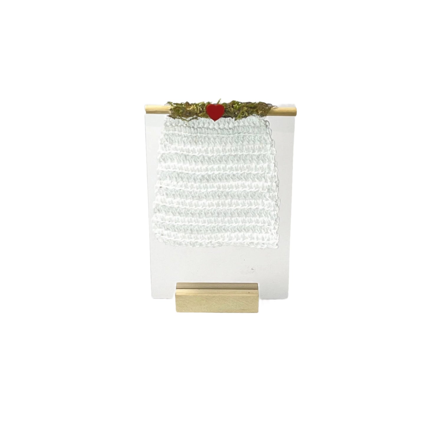 Elderly Spider Crochet Climbing Net - Jumping Spider Setup - Opus Vita