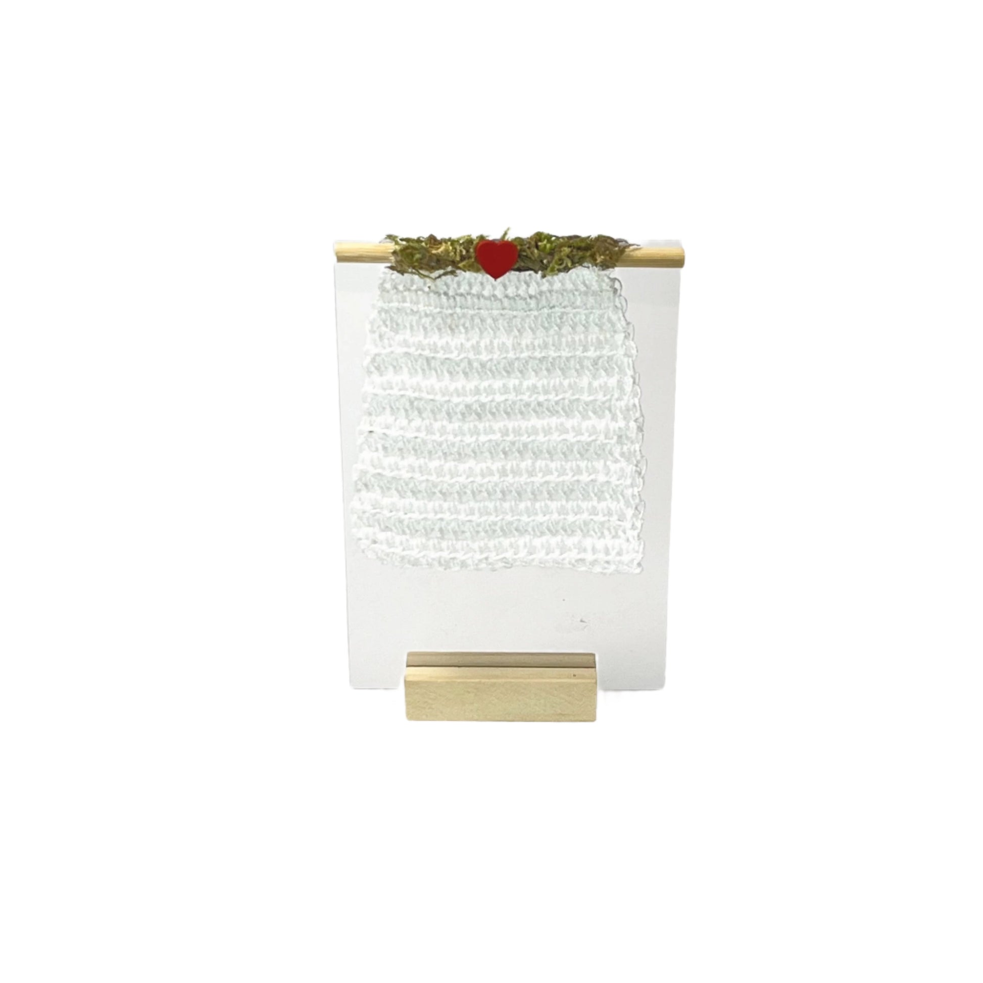 Elderly Spider Crochet Climbing Net - Jumping Spider Setup - Opus Vita