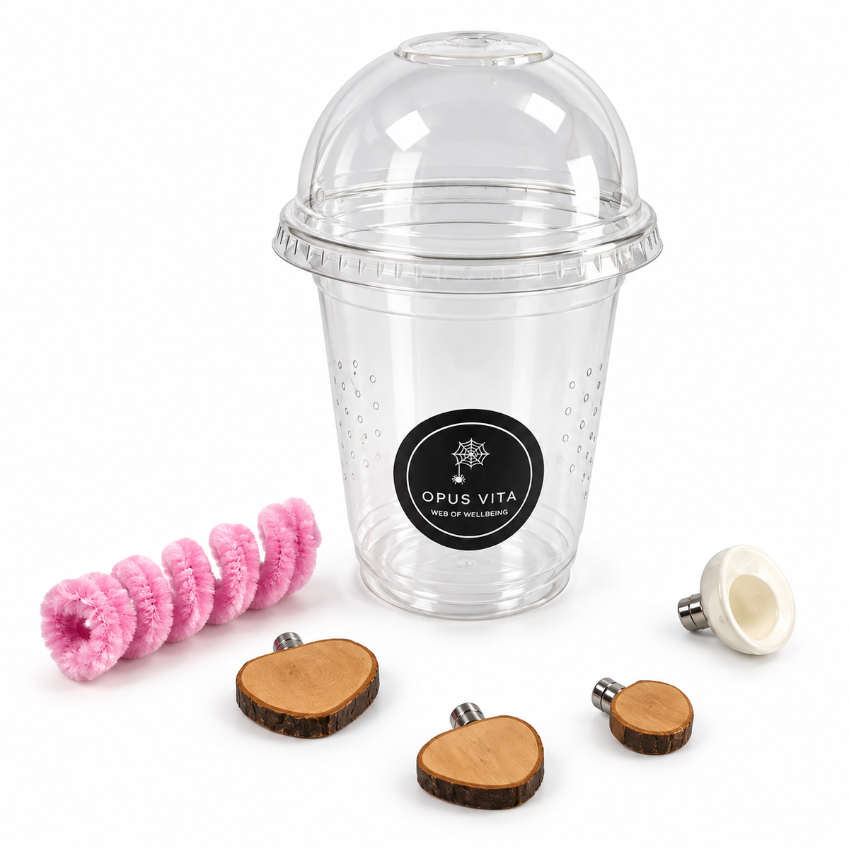 Starter Cups Kits - for Jumping Spider - Small Enclosures