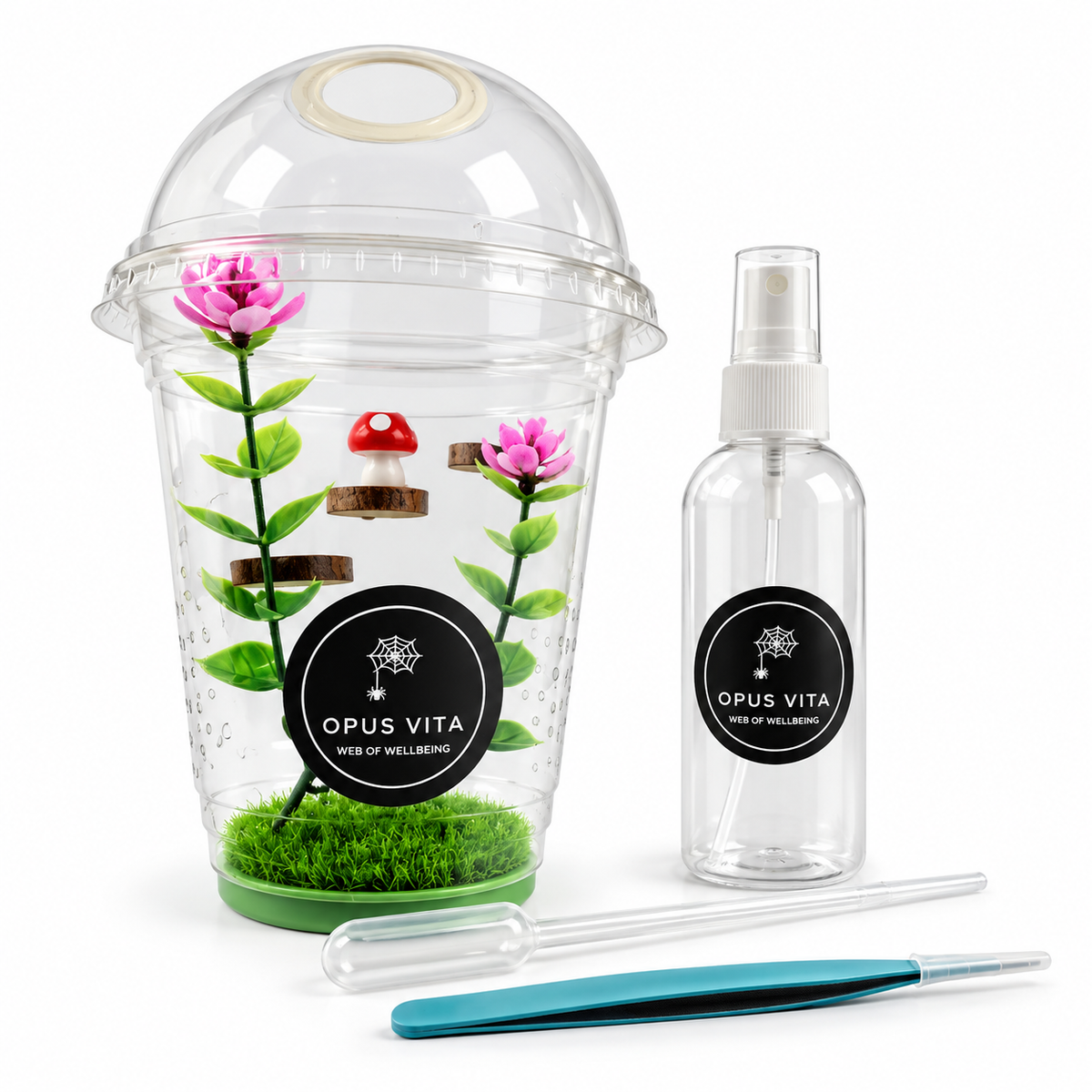 Starter Cups Kits - for Jumping Spider - Small Enclosures