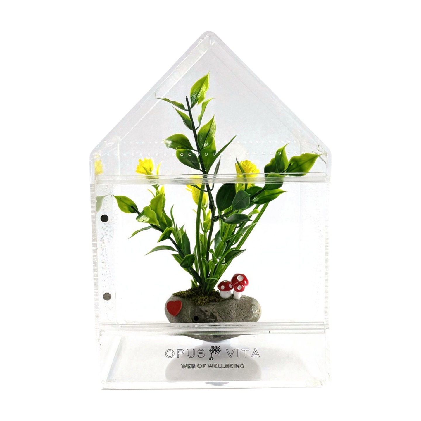 Fidus - Jumping Spider Enclosure - Premium Jumping Spider Habitat - Opus Vita