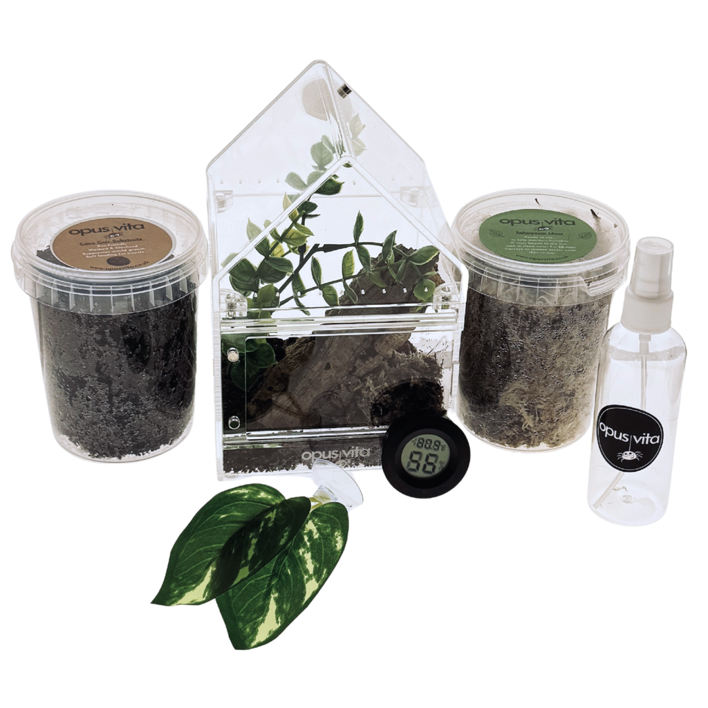 NEW Fidus V2 Bundle - Premium Jumping Spider Enclosure