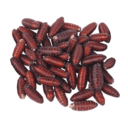 Fly Casters - Emergency Live Food - Opus Vita