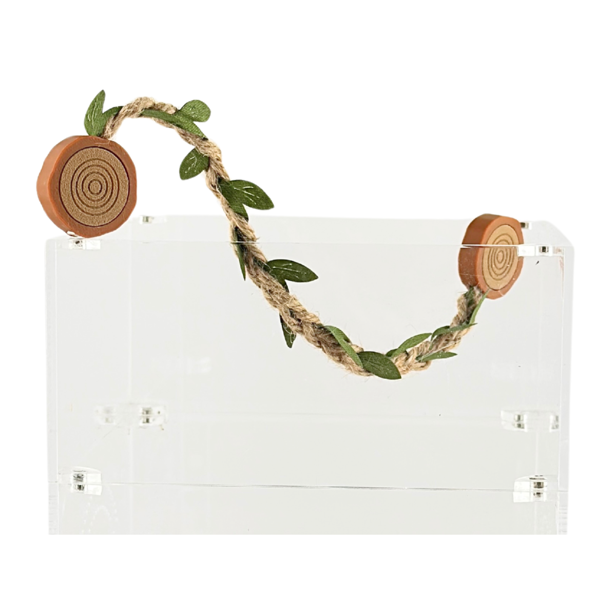 Rope bridges with Twine - Decor - for Jumping Spiders