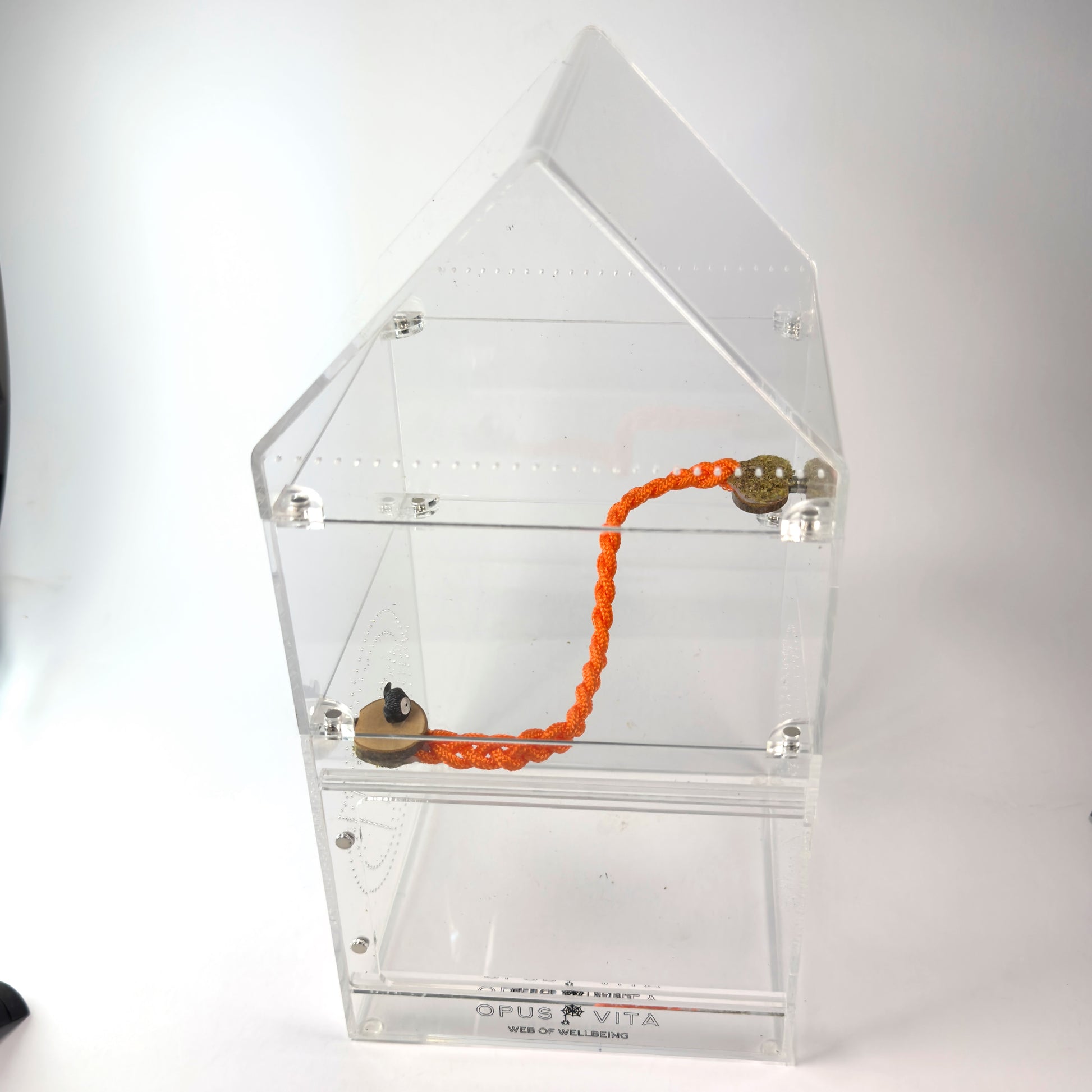 Halloween - Ghoulish Rope Bridge - Orange - Glow in the dark! - Jumping Spider Setup - Opus Vita