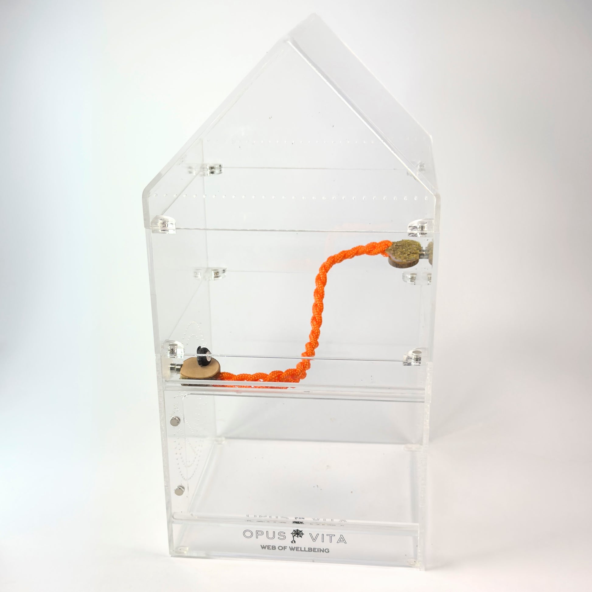 Halloween - Ghoulish Rope Bridge - Orange - Glow in the dark! - Jumping Spider Setup - Opus Vita