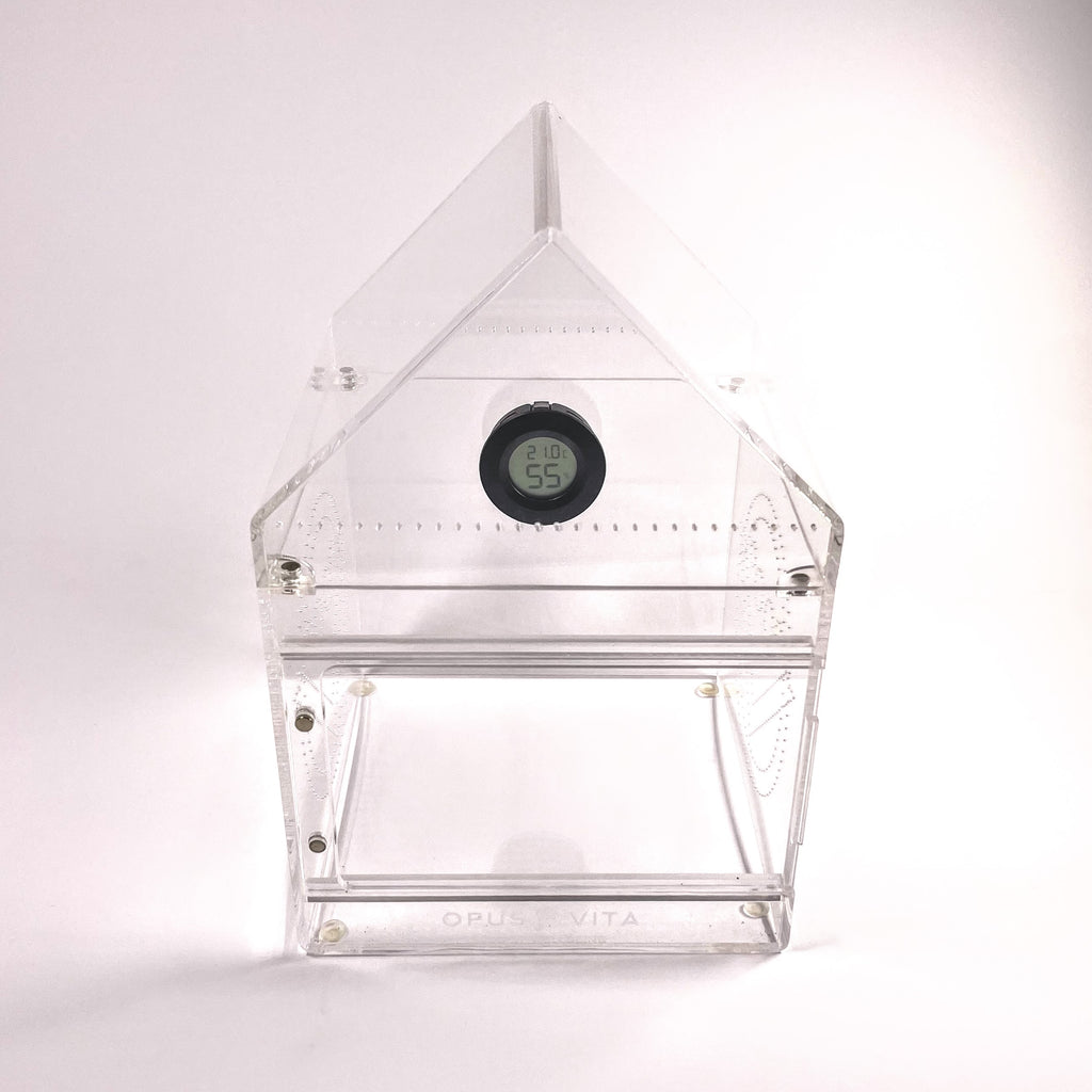 Hygrometer Thermometer Digital LCD Monitor - Jumping Spider Setup - Opus Vita