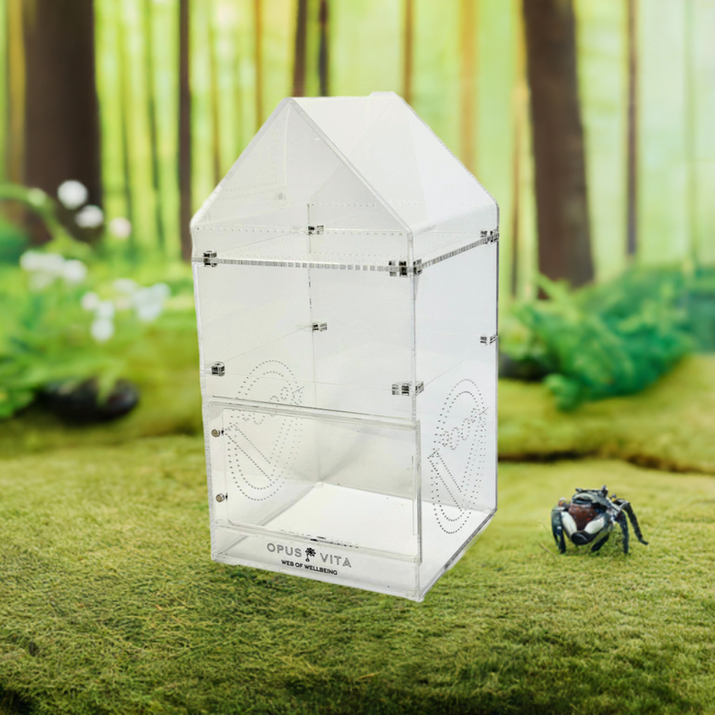 Jumping Spider Enclosure - Domus - 4 in 1 - Premium Arboreal Habitat - Opus Vita