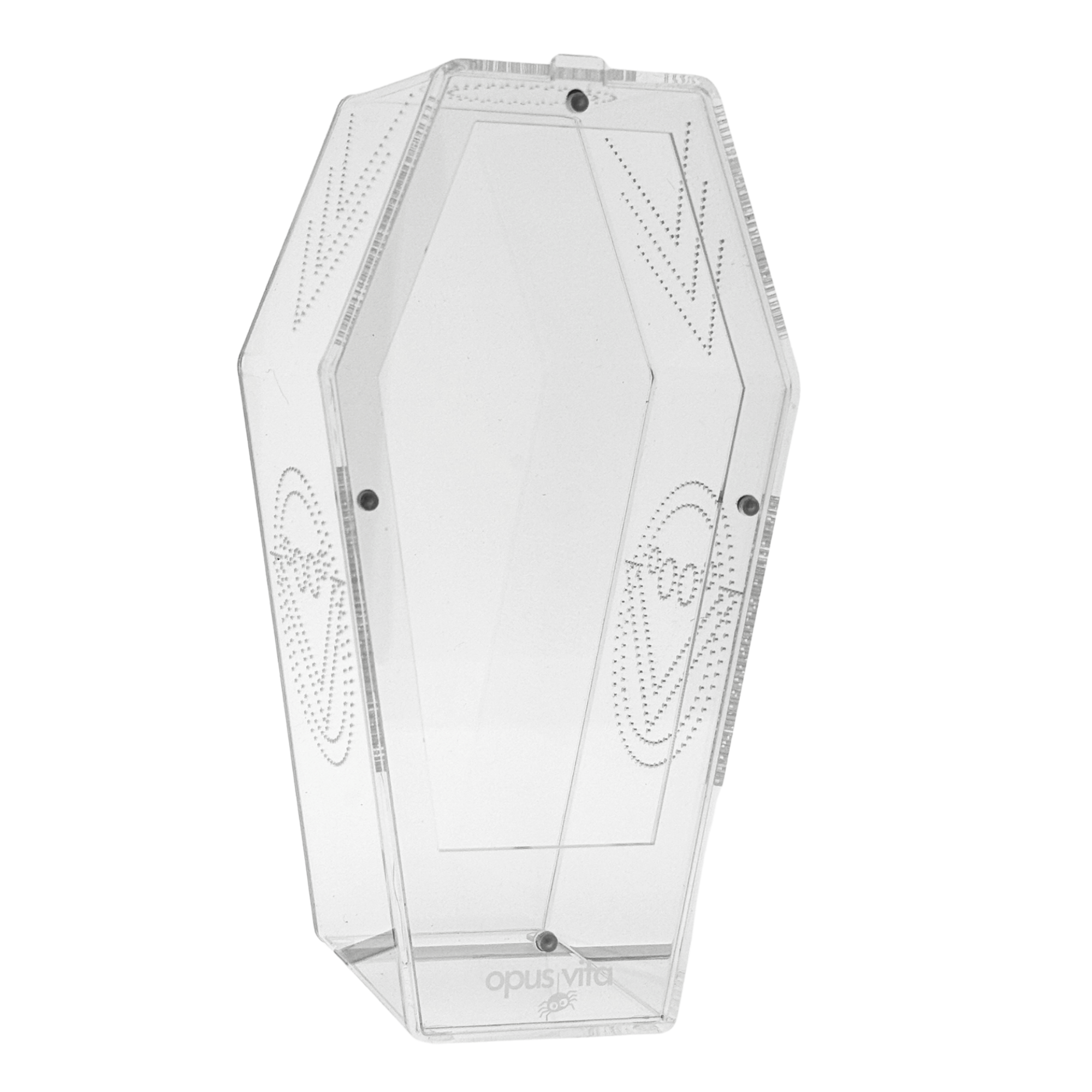 loculus coffin enclosure for jumping spiders
