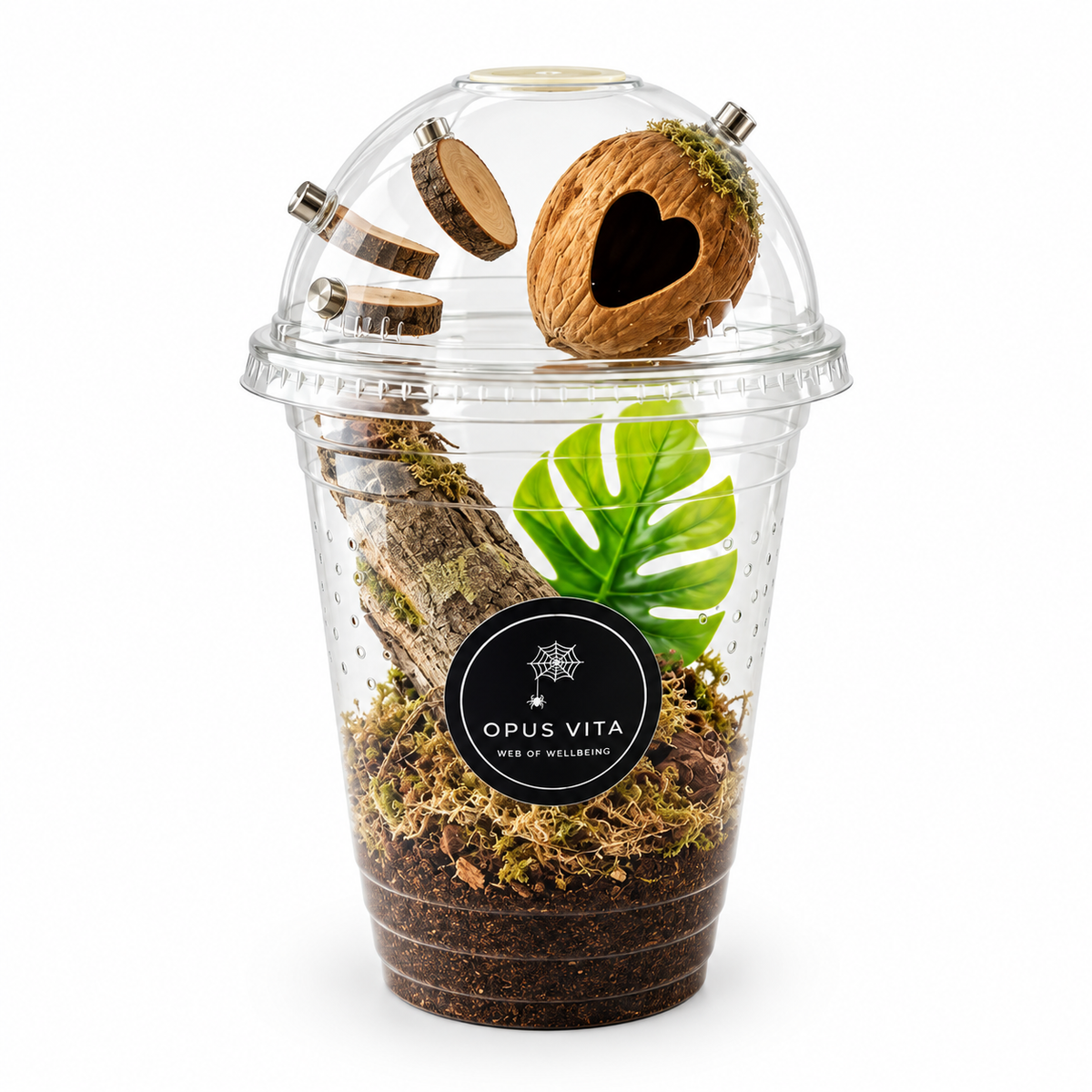 Starter Cup Kit - Naturalistic - For Jumping Spiders