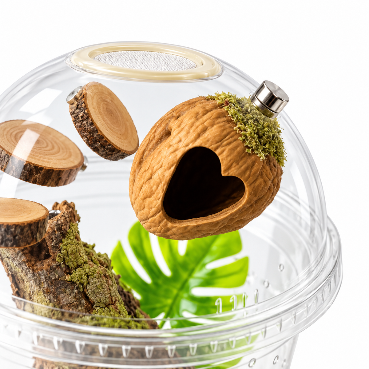 Starter Cup Kit - Naturalistic - For Jumping Spiders