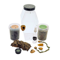 Jumping Spider Setup - Loculus Coffin Bundle - Premium Enclosure Setup