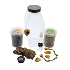 Jumping Spider Setup - Loculus Coffin Bundle - Premium Enclosure Setup