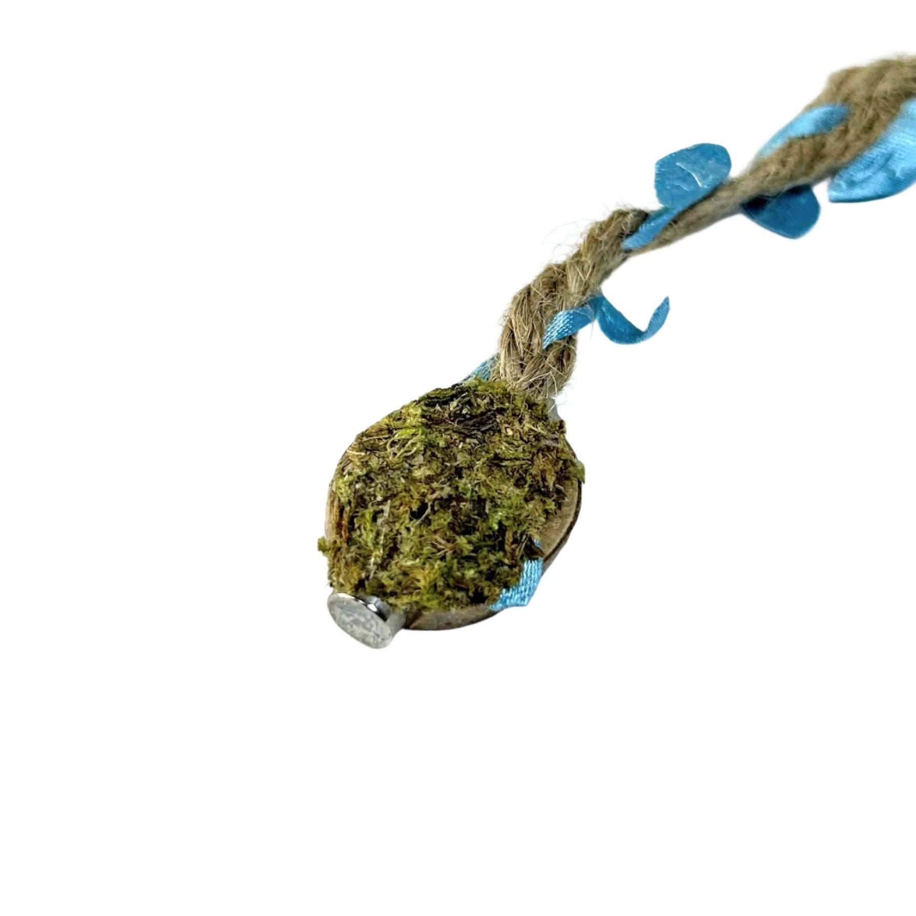 Rope bridges with Twine - Decor - for Jumping Spiders - Opus Vita