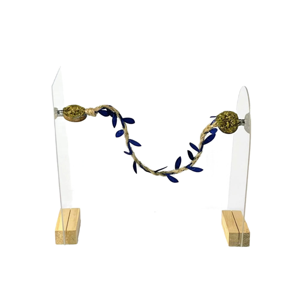Rope bridges with Twine - Decor - for Jumping Spiders - Opus Vita