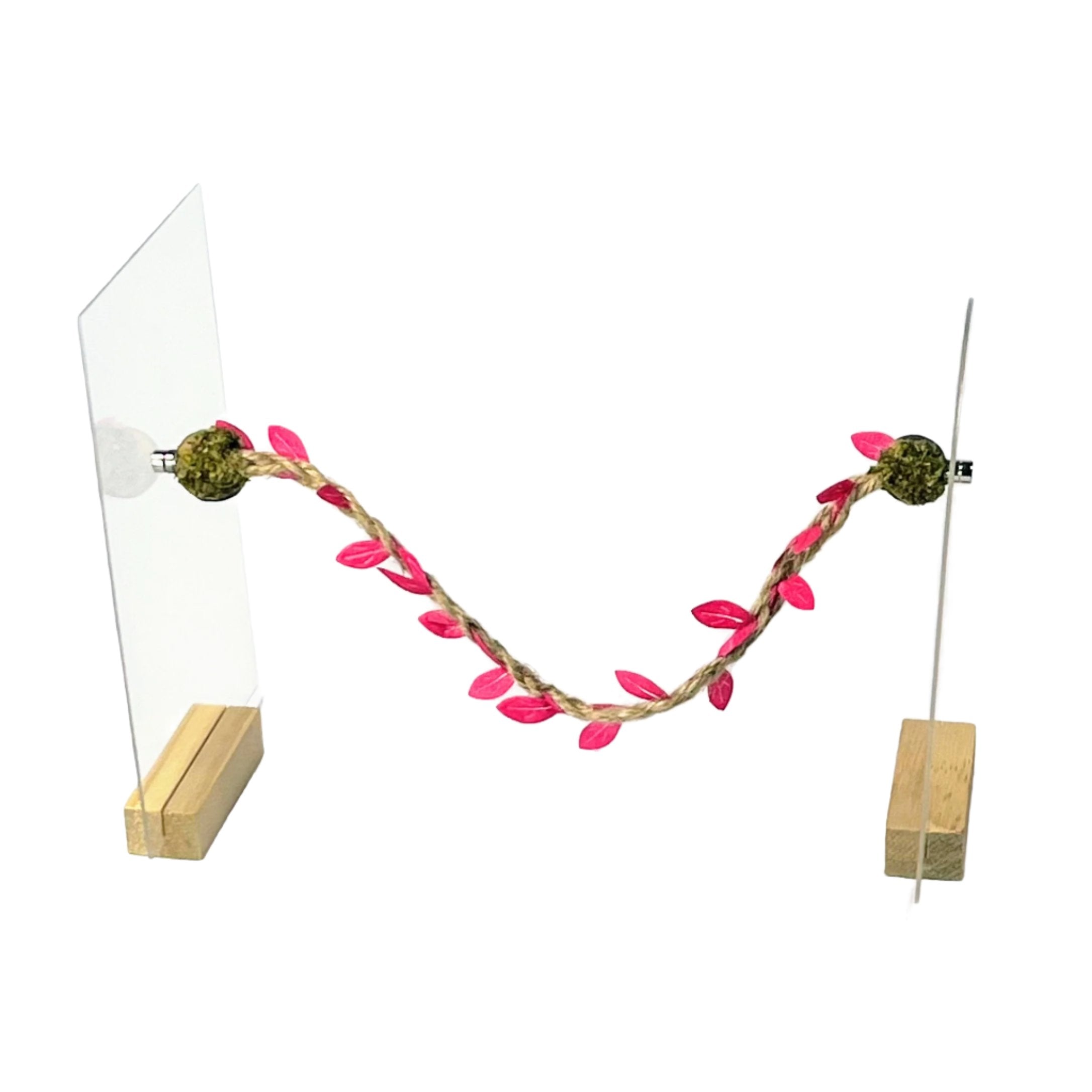 Rope bridges with Twine - Decor - for Jumping Spiders - Opus Vita