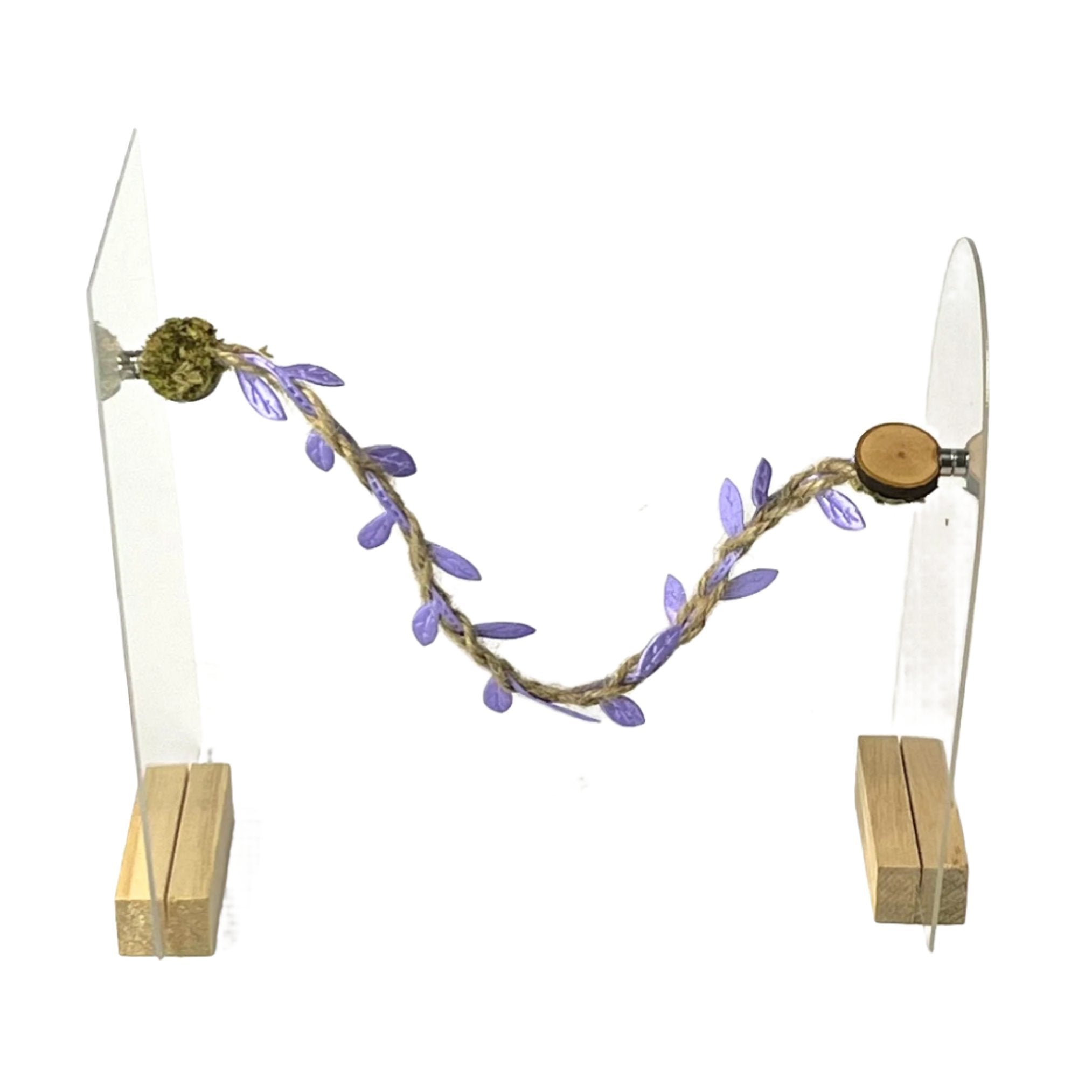 Rope bridges with Twine - Decor - for Jumping Spiders - Opus Vita