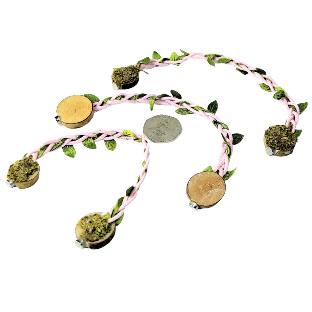 Rope bridges with Twine - Decor - for Jumping Spiders - Opus Vita