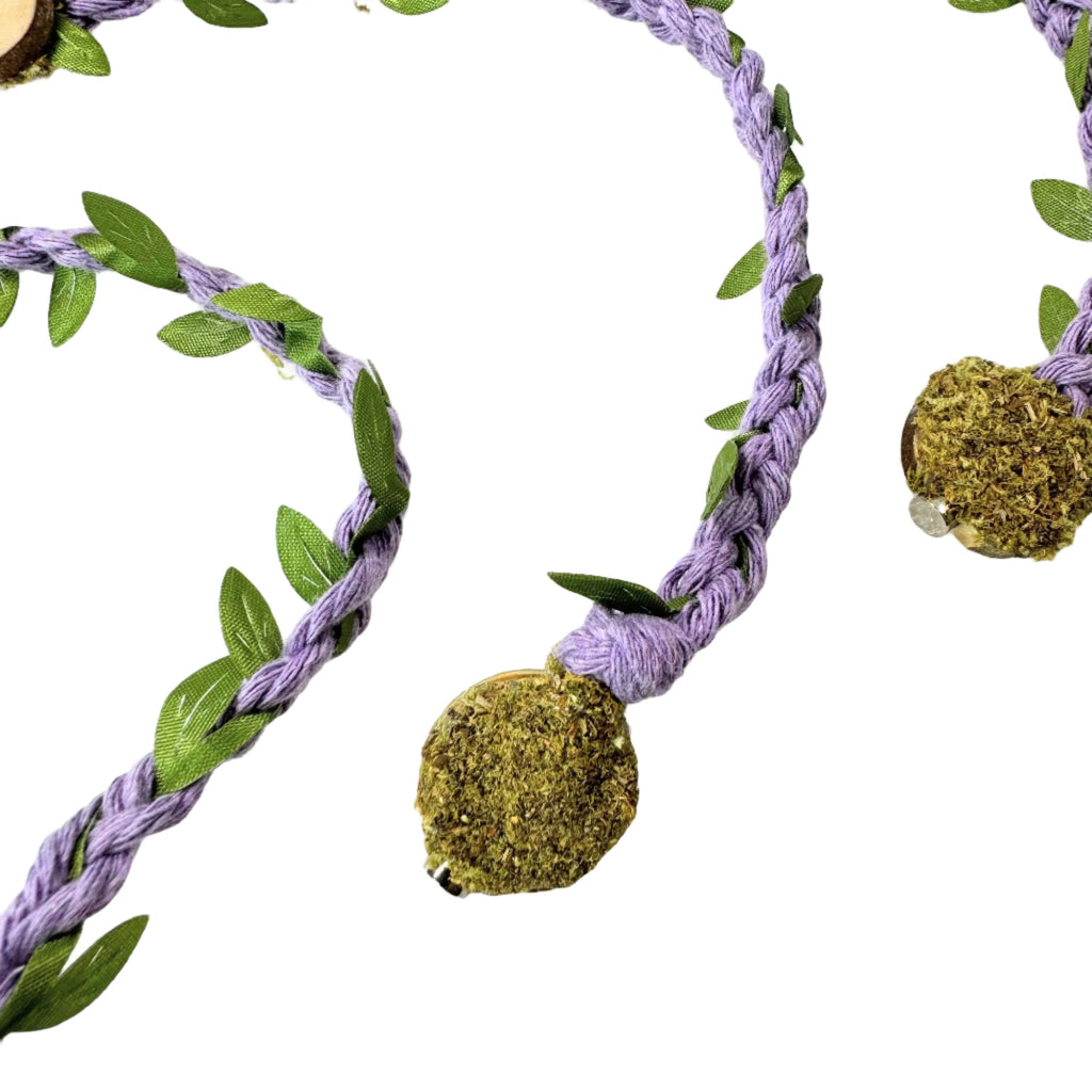 Rope bridges with Twine - Decor - for Jumping Spiders