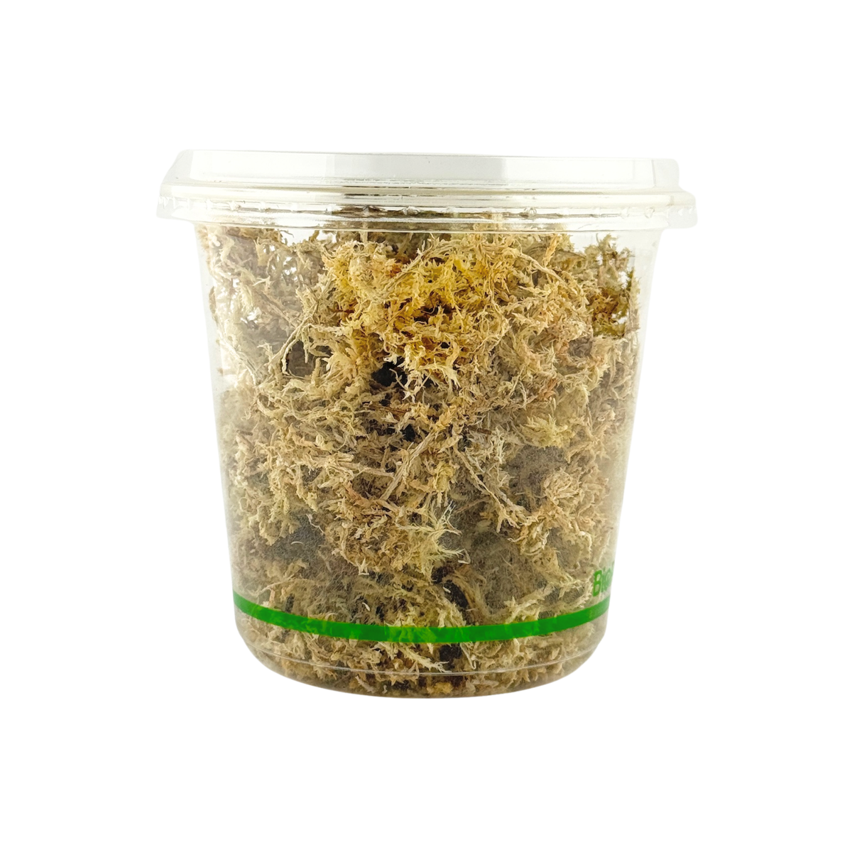Sphagnum Moss - Ready made mix for One Enclosure