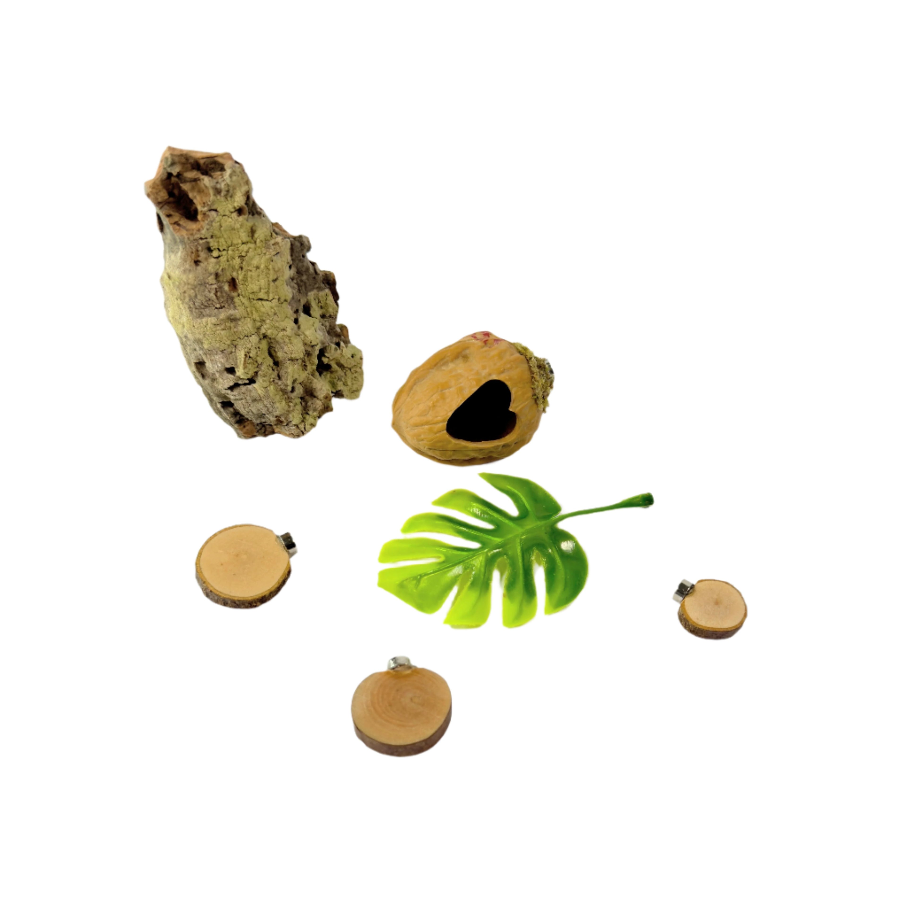 Starter Cup Kit - Naturalistic - For Jumping Spiders - Opus Vita