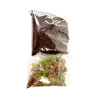Starter Cup Kit - Naturalistic - For Jumping Spiders - Opus Vita
