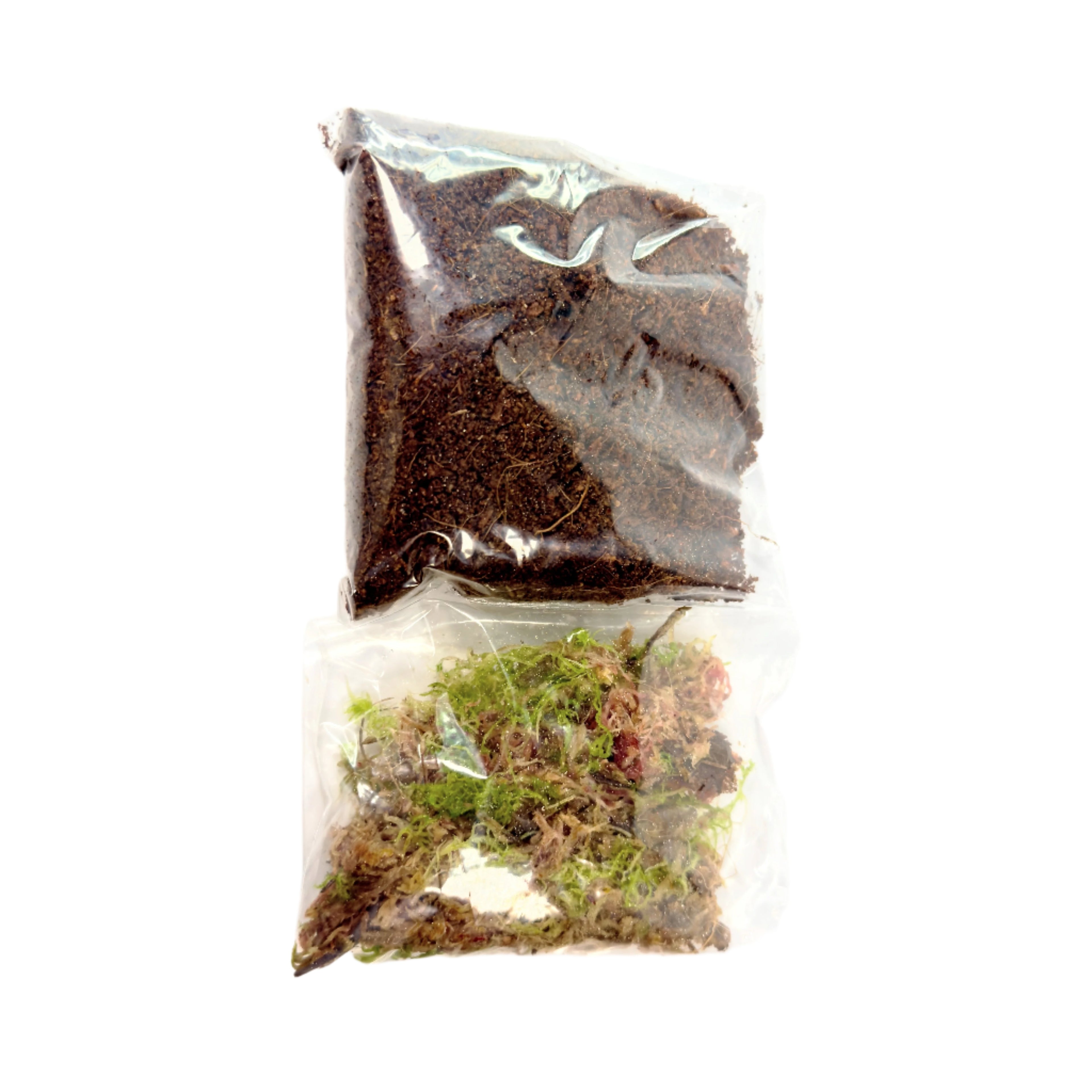 Starter Cup Kit - Naturalistic - For Jumping Spiders - Opus Vita