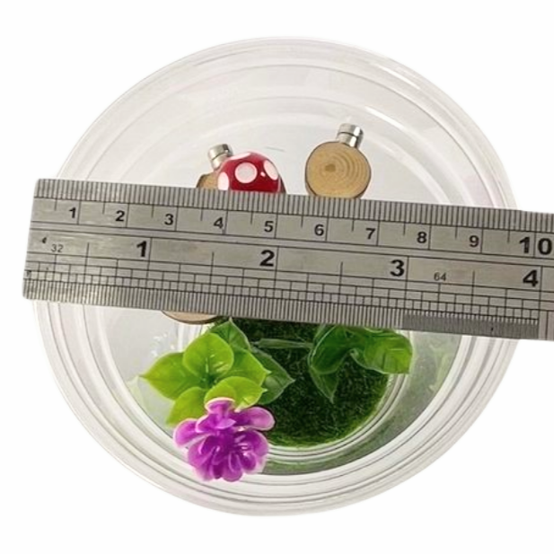 Starter Cups Kits - for Jumping Spider - Small Enclosures - Opus Vita