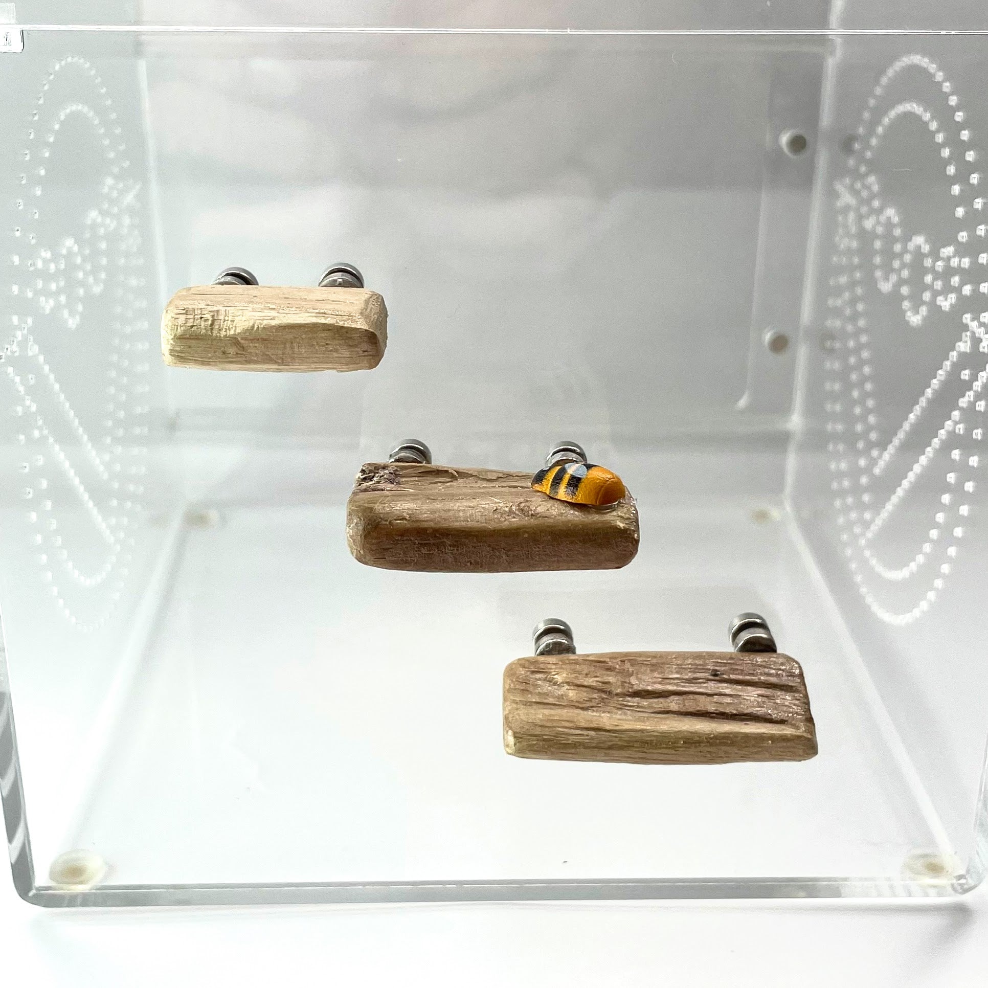Triple Driftwood Ledge Pack with Mini Decor - for Jumping Spiders - Opus Vita