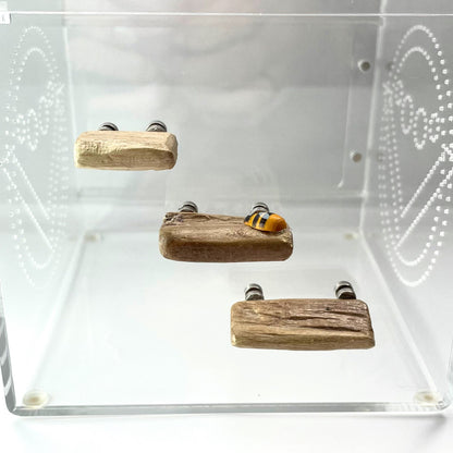 Triple Driftwood Ledge Pack with Mini Decor - for Jumping Spiders - Opus Vita