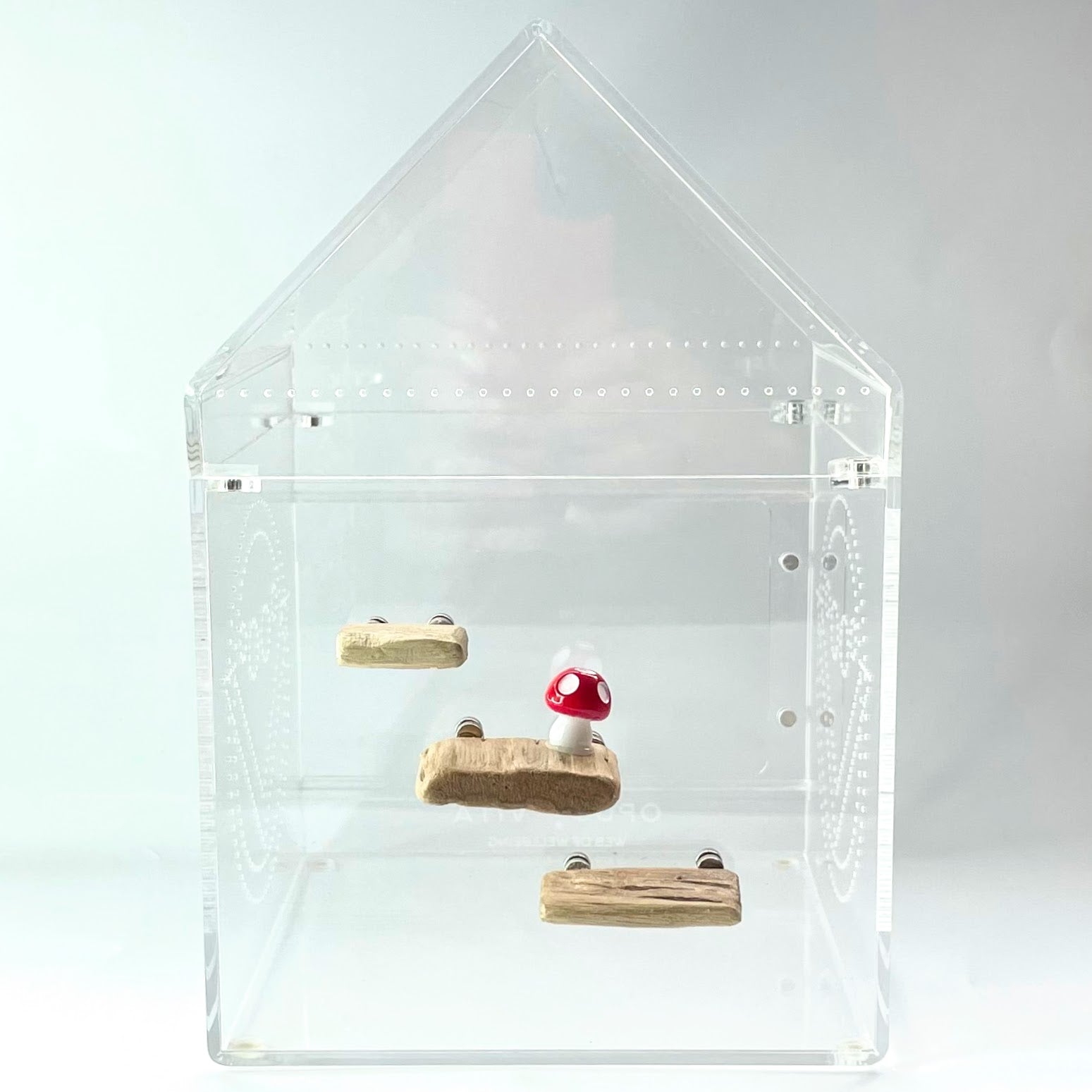 Triple Driftwood Ledge Pack with Mini Decor - for Jumping Spiders - Opus Vita