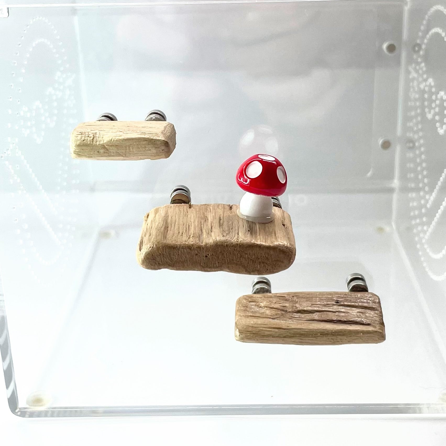 Triple Driftwood Ledge Pack with Mini Decor - for Jumping Spiders - Opus Vita