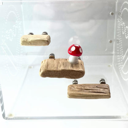 Triple Driftwood Ledge Pack with Mini Decor - for Jumping Spiders - Opus Vita
