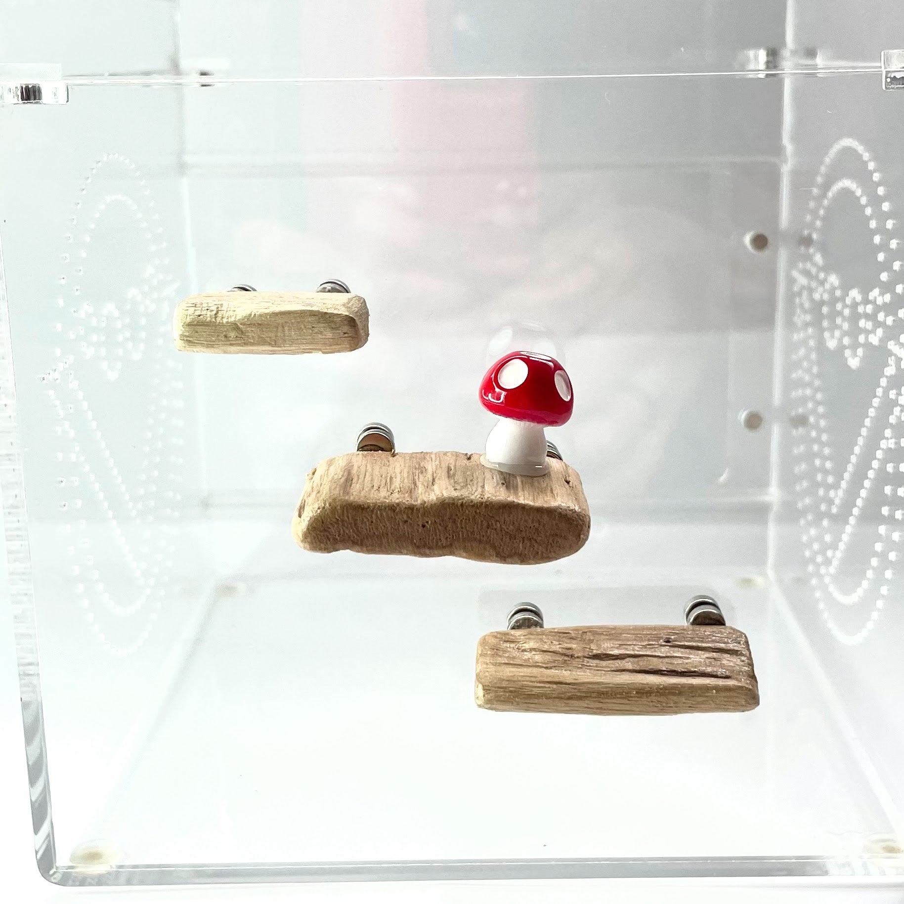 Triple Driftwood Ledge Pack with Mini Decor - for Jumping Spiders - Opus Vita
