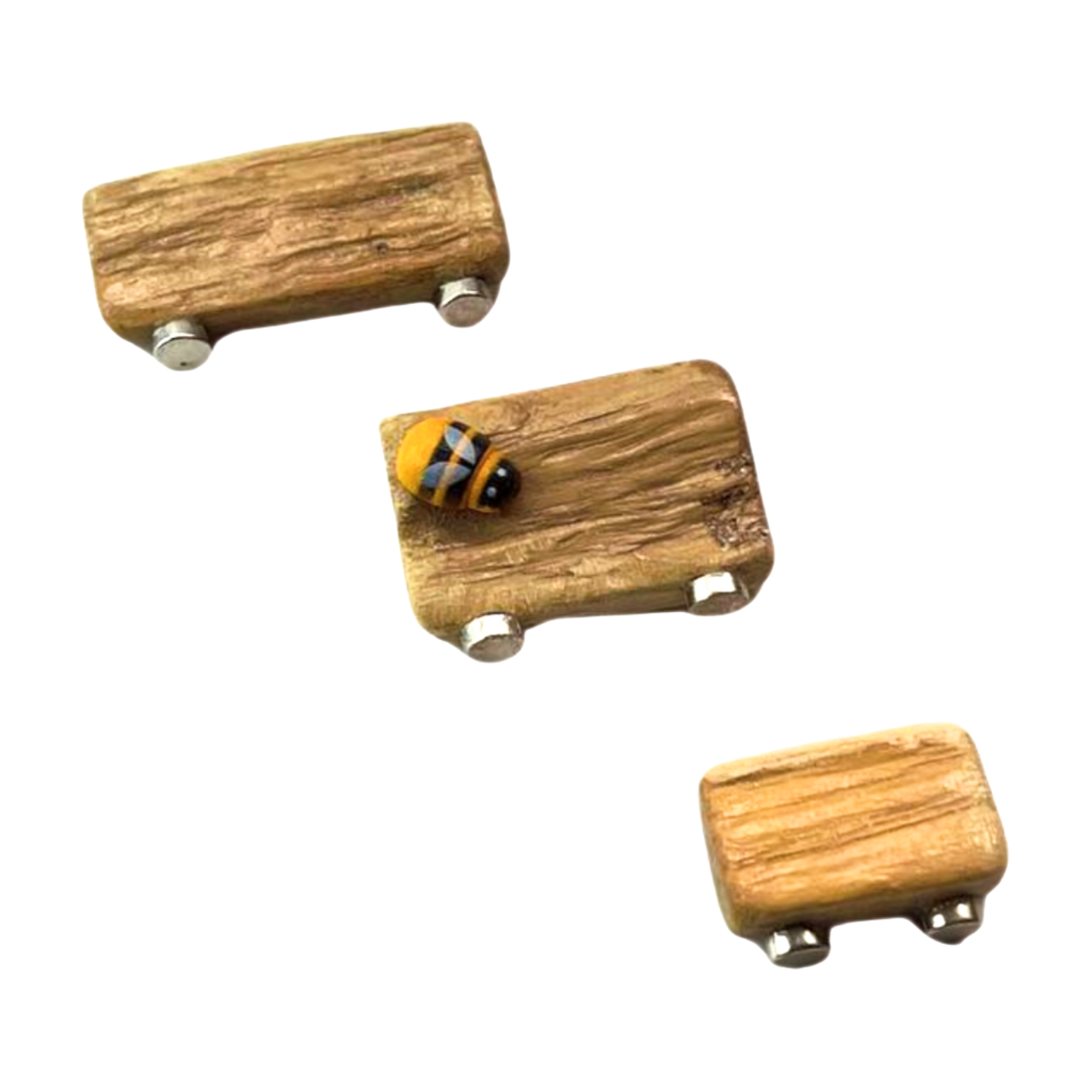 Triple Driftwood Ledge Pack with Mini Decor - for Jumping Spiders - Opus Vita