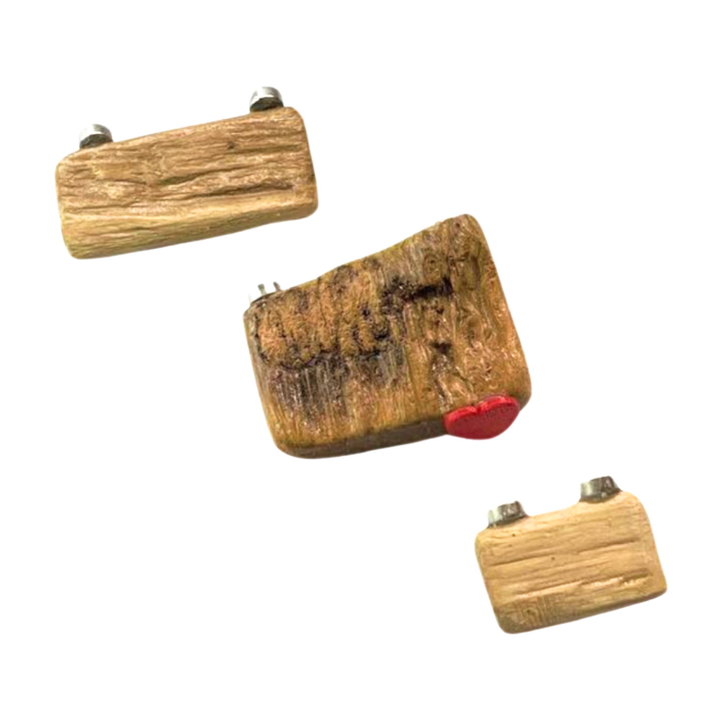 Triple Driftwood Ledge Pack with Mini Decor - for Jumping Spiders - Opus Vita