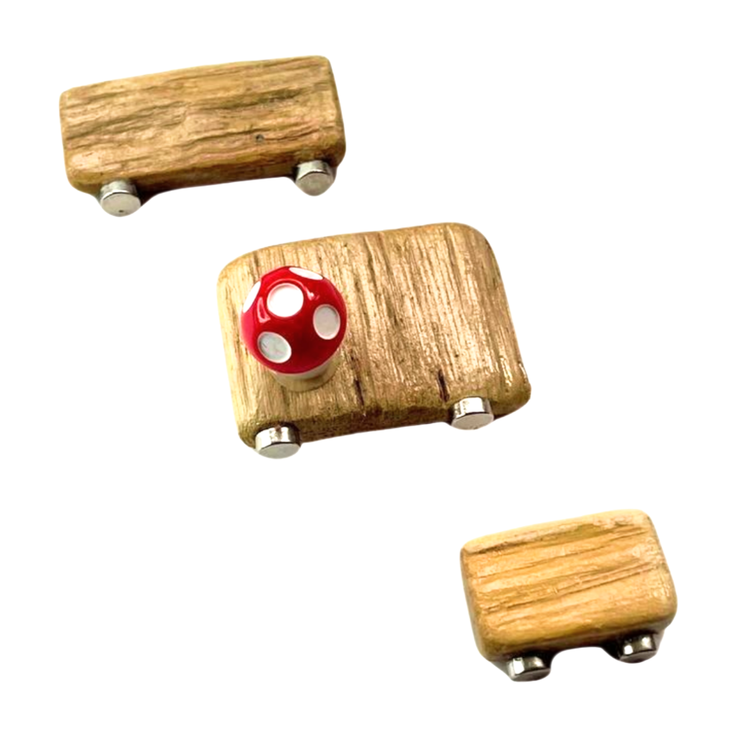 Triple Driftwood Ledge Pack with Mini Decor - for Jumping Spiders - Opus Vita