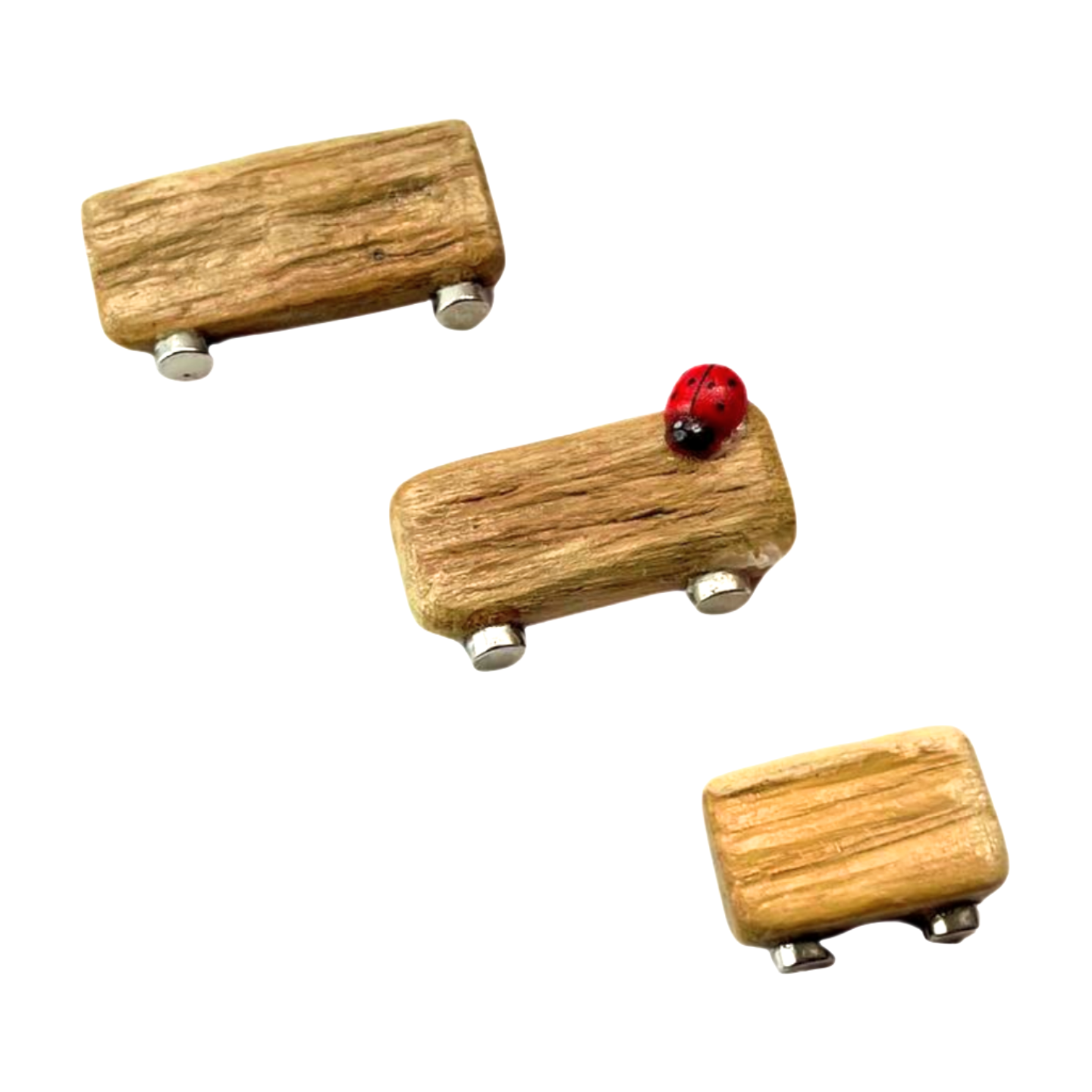 Triple Driftwood Ledge Pack with Mini Decor - for Jumping Spiders - Opus Vita