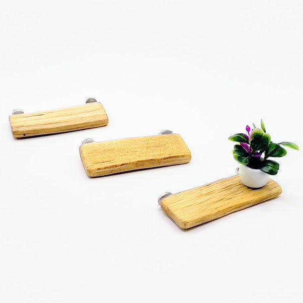 Triple Driftwood Ledge Pack with Mini Decor - for Jumping Spiders - Opus Vita