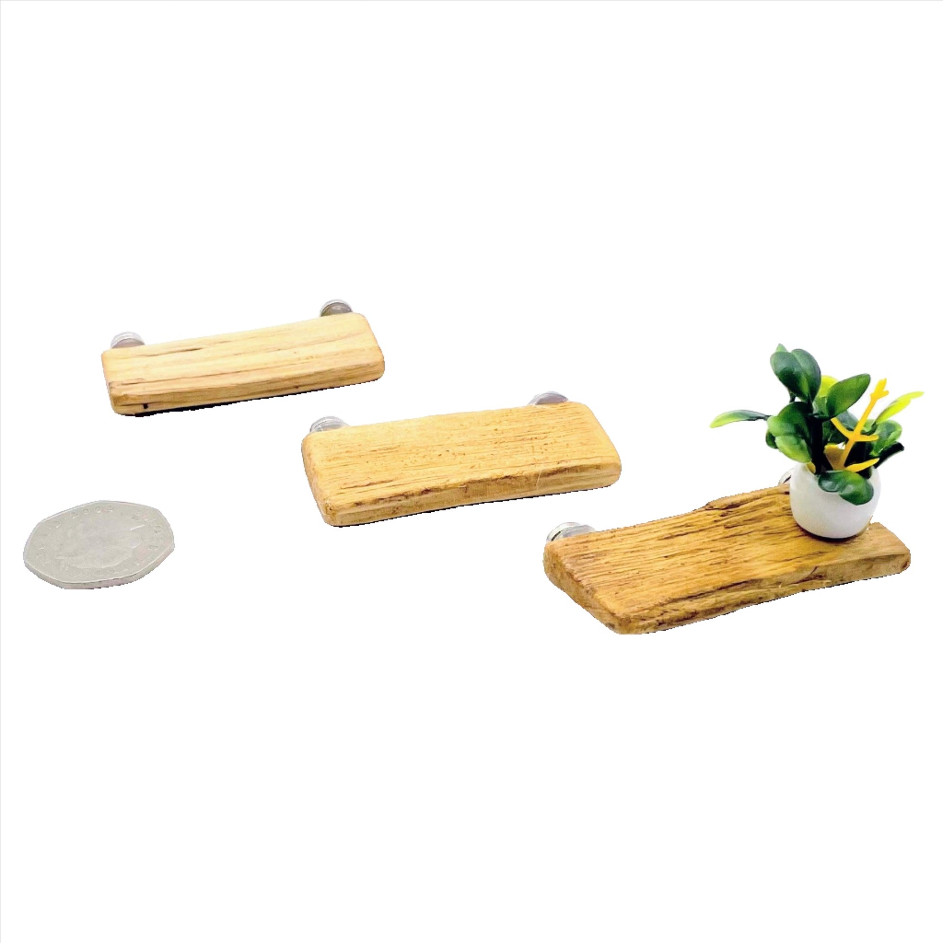 Triple Driftwood Ledge Pack with Mini Decor - for Jumping Spiders - Opus Vita