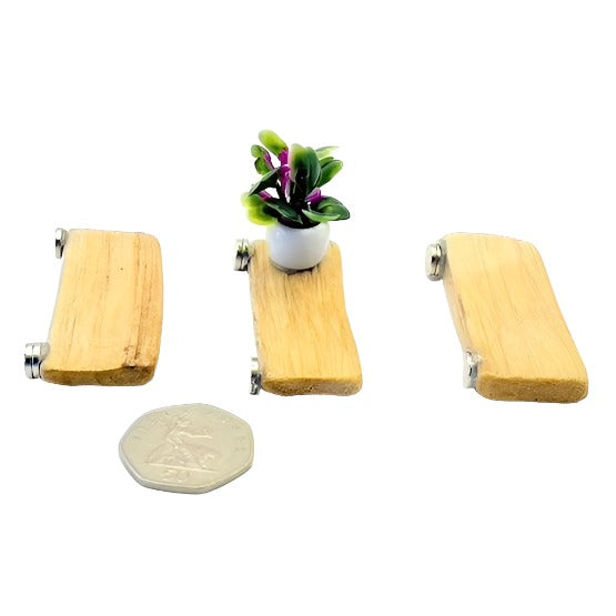 Triple Driftwood Ledge Pack with Mini Decor - for Jumping Spiders - Opus Vita