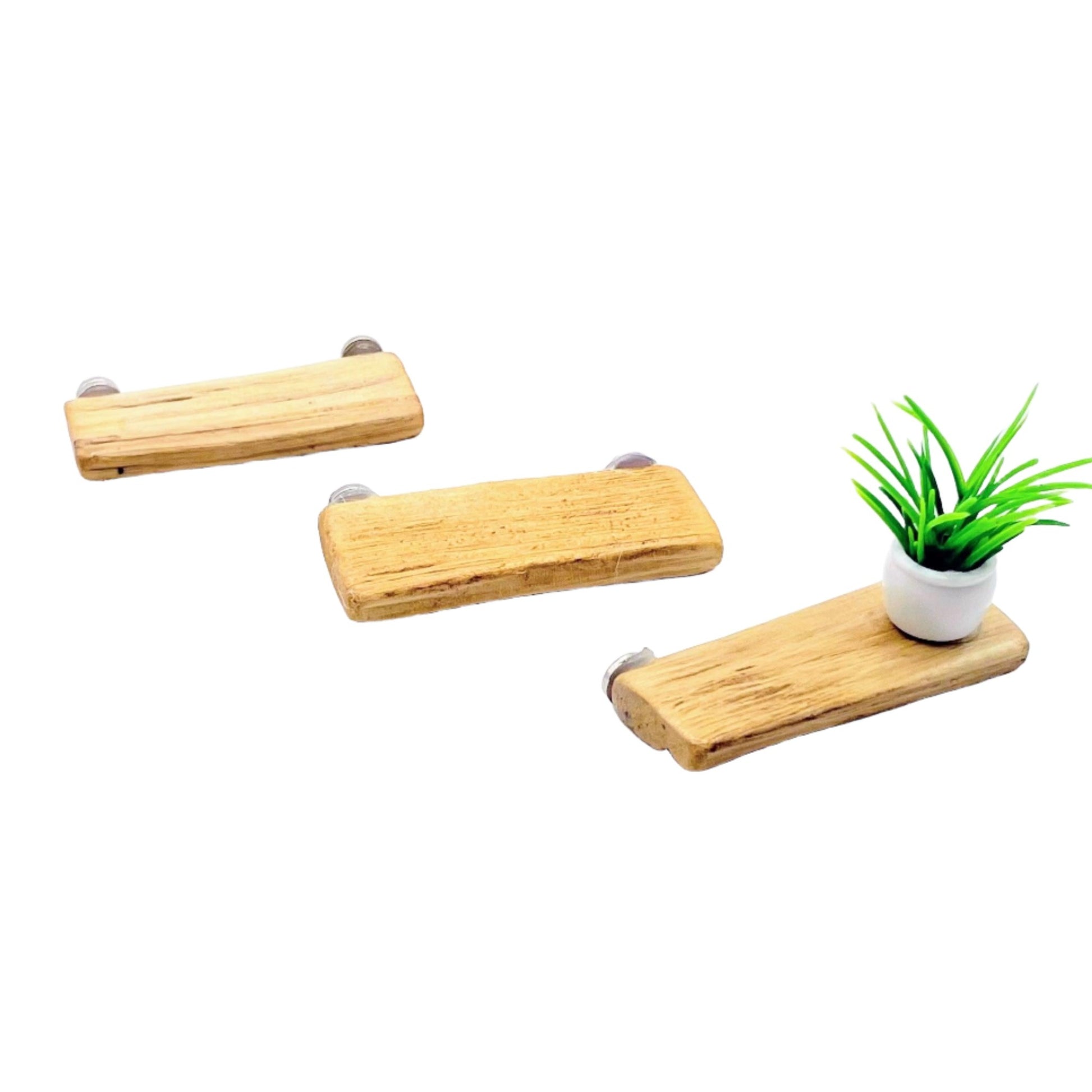 Triple Driftwood Ledge Pack with Mini Decor - for Jumping Spiders - Opus Vita